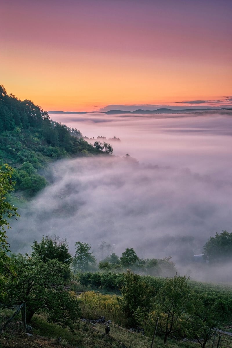 Mystical Clearing Image